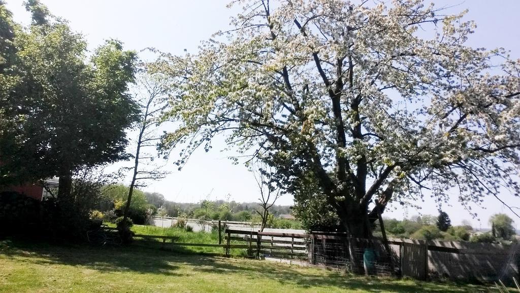 Gite Labradors De Bailly - Giverny Saint-Pierre-la-Garenne Exteriör bild